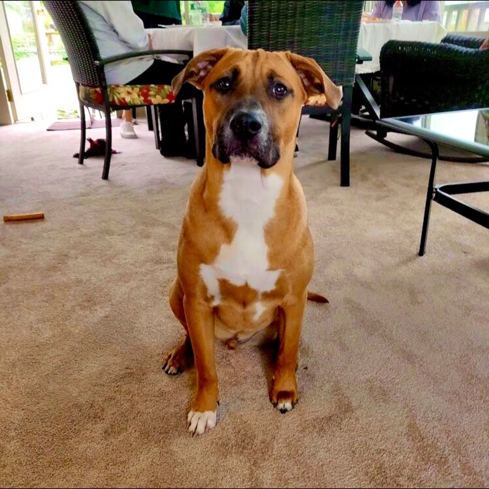 Meet your Posher, Anthony